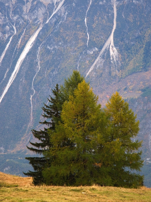 Landscape, Montana-Crans Switzerland 5.jpg